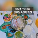 압구정 횟집 맛집 사랑호 수산포차 방문후기