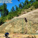 양평수목 이미지