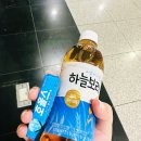 소소한 일상기록 :: 4/17 - 5/31✨