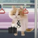 세현팜 | 뭘해도재밌는