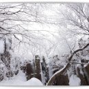 ♣1/23(토)국립공원 광주 무등산 서석대 산행(100대명산&국립공원스탬프) 이미지