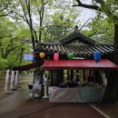 【충북 걷기】 속리산 보은 세조길 걷기 후기 - 법주사/목욕소/세심정