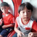 월계효태권도 이미지