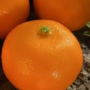 하단동143 이미지