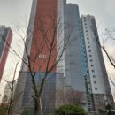 스위트 9-1 이미지