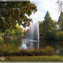 예술나무Theater 이미지