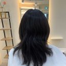 헤어아리엘 네이버블로그