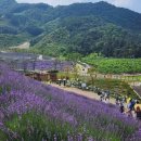 명재 농장 이미지