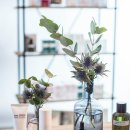 유화약국 이미지