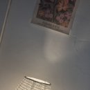 뷰티마담