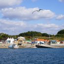 효자도4 이미지