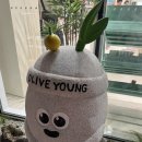 영베이커리 | 올리브영 제주함덕점 + 오드랑베이커리 후기! 함덕해수욕장 근처 가볼곳🍞🍊