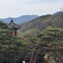 향수100리길 이미지