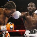 버팔로복싱짐 이미지