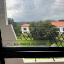 시티콘가족호텔제주 | 제주 에코랜드 내돈내산 총정리 + 수영장 호텔 &amp; 조식 솔직후기