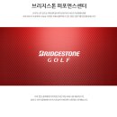 율정골프연습장(실외) | 솔라고CC 드라이빙 레인지 천연잔디 골프연습장 실외 인도어 후기 (충남 태안)