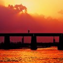 가천대학교 환경·디자인대학원 이미지