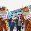 한우가즈아 이미지