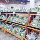 산골로컬푸드 | 화성 봉담 등산ㅣ서봉산자연휴양림 주차, 코스, 소요시간(경기도 가볼 만한 곳)