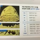 덴탈웍스 이미지