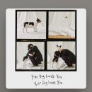 다Dog다Dog 이미지