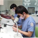 킴스치과기공소 이미지