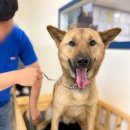 멍스 스쿨 이미지