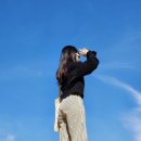 이집트 시와여행 - Experience siwa 투어 후기 2편(시와 시티투어, 죽음의산, 샬리요새,클레오파트라샘)