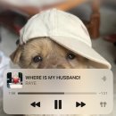 선우농장 | 깜찍이 브이로그