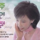 주연정