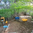 신어산 산림욕장 | [#121] 신어산 혼산 #2(25-0502/금) ~ 신어산 동봉-신어산-험한 길?헤매다 은하사-김해하키경기장