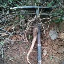 산과 바다사이 이미지