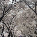 덕풍천 산책로 이미지