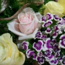 성균관대학교 법학전문대학원 이미지