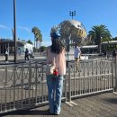 LA 유니버셜 스튜디오 할리우드 후기 │ 스턴트쇼, 해리포터, 트랜스포머까지