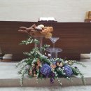찬미사