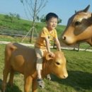 [글쓰기 강좌 3주차/글장이] 글쓰기는 나에 대한 사랑이다