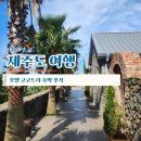 여행 1일차 - 한경면 독채 숙소 추천 &#39;호텔 코코트리&#39; 그린 코코, 바베큐·자쿠지 후기Ⅰ 내돈내산 3박 4일