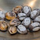 순천만 메추리 이미지