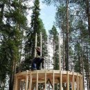 나무호텔 이미지