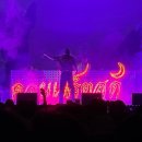 2K Gym | 빈지노 노비츠키 콘서트 후기