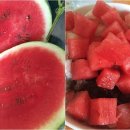 물소낭밧작은집 이미지