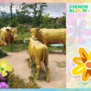 울산축협본점 이미지
