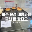 [파주 운정 카페] 팥티오 운정점 내돈내산! 국산 팥빵 5종 솔직 후기 (주차, 아이동반)