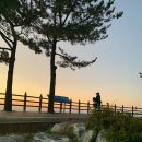 새천년기념공원 네이버블로그