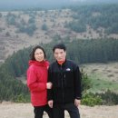 명석목장 Daum카페