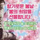 월요일 새로운 마음✿˘◡˘✿ 새로운 기분으로 희망을 안고힘차게 출~~~발합니다. 이미지