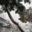 오산지역아동센터 | [제페토/메타버스/3D교육] 오산시립지역아동센터 메타버스 교육 진행 현황