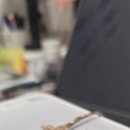 몬스타주 이미지