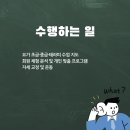 실버요가(초급) 이미지